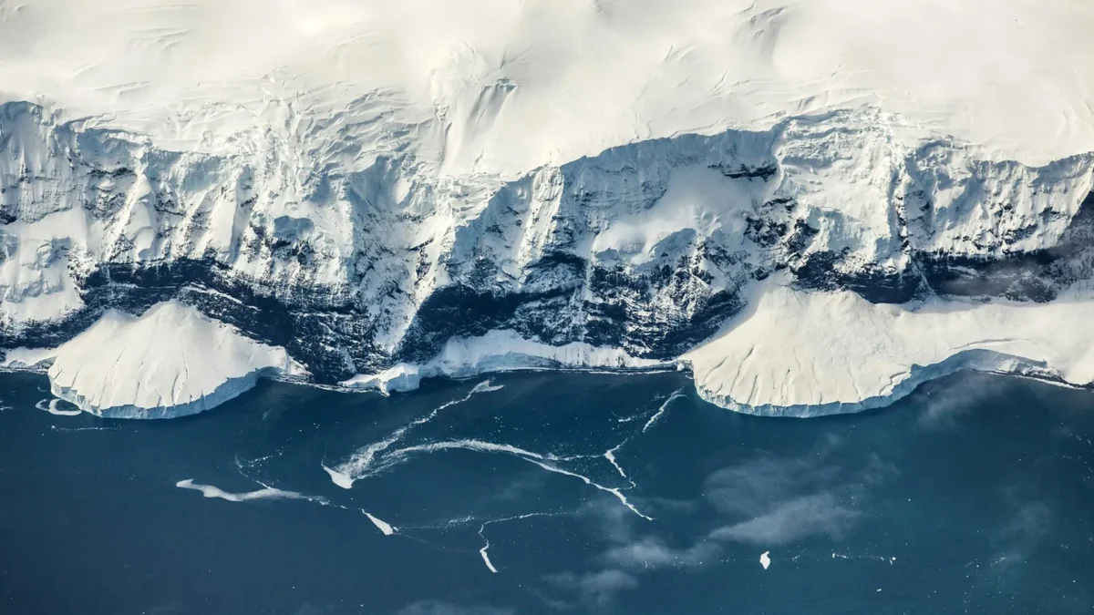 ScienceDaily