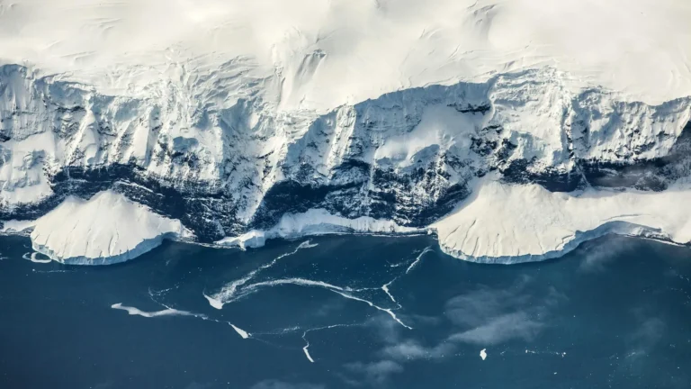 ScienceDaily