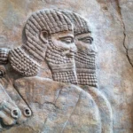 ScienceDaily