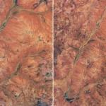 NASA Captures a Spectacular Desert Bloom