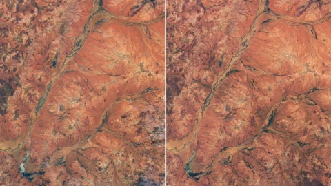 NASA Captures a Spectacular Desert Bloom