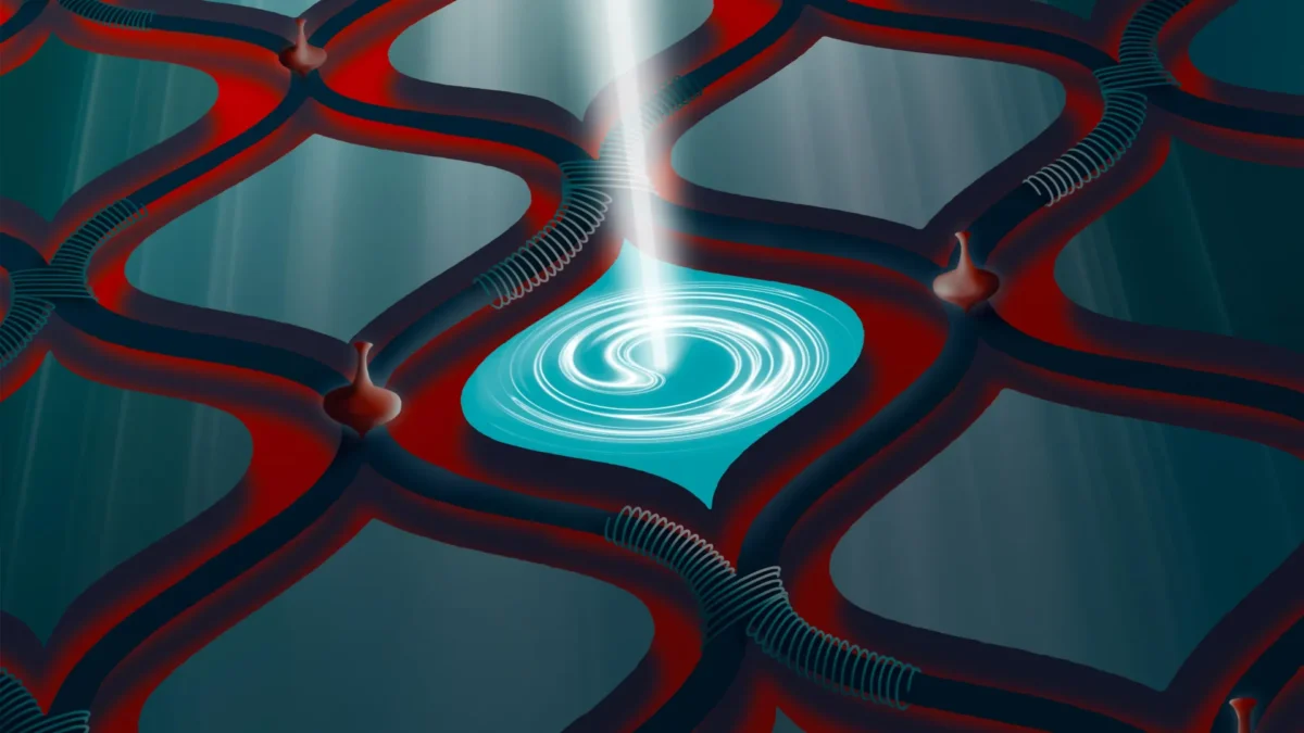 Scientists Recreate a Bizarre Quantum Effect
