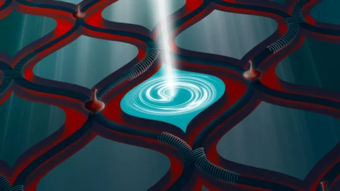 Scientists Recreate a Bizarre Quantum Effect